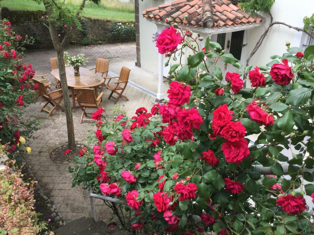 Villa Elena Потес Экстерьер фото